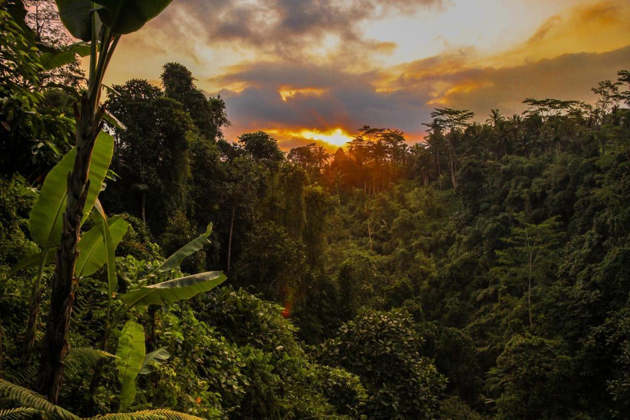 Kalisat 4* Ubud