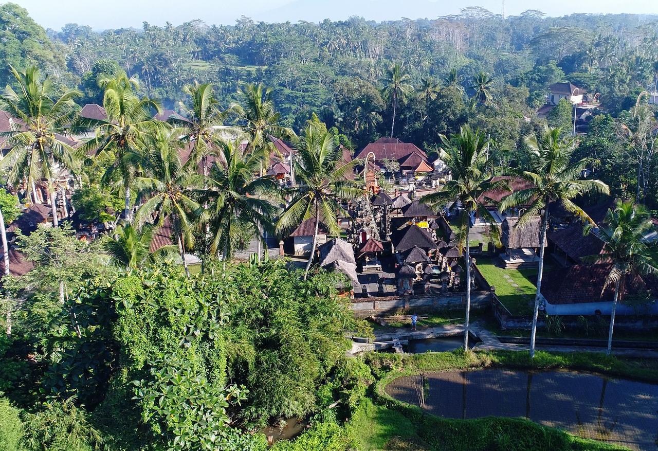 Kalisat Ubud (Bali)
